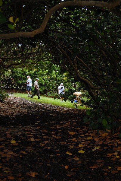 JTRG_FD_2012 (62).JPG